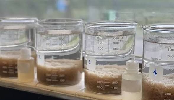 Four numbered laboratory beakers of settled sludge with dosing bottles, arranged as a comparison test.
