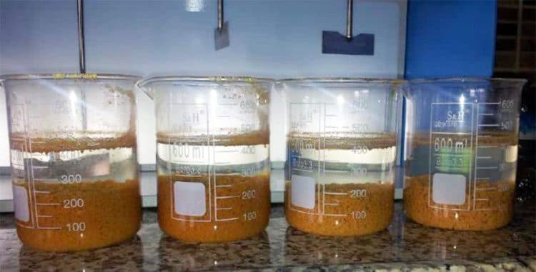 Four laboratory beakers of settled sludge on a gang stirrer during a formulation trial.