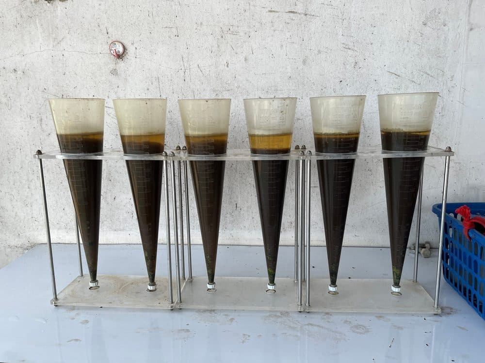 A rack of six Imhoff settling cones holding dark sludge samples settled to different volumes.